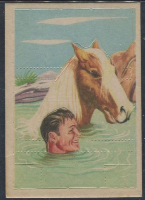 F278-19 7 Roy And Trigger Take Time Out For A Swim.jpg